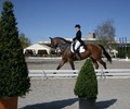 News du week-end: Dressage de la Pallanterie