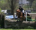 News du week-end: Saut à Satigny