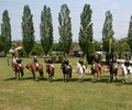 News du weekend: Saut à Satigny