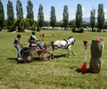 News du week-end: Attelage à Satigny