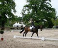 News du week-end: Dressage à Onex