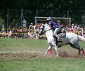 News: Championnat du Monde de Mounted Games