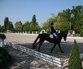 News du week-end: Dressage à la Pallanterie