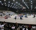2e journée pour la 52e édition du CHI-W de Genève.