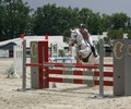 News du week-end: Poneys à la Chaumaz