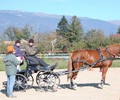 News: Sortie d'automne de la SAGE