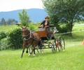 News du weekend: Attelage à Satigny
