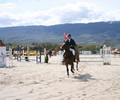 poneys à la chaumaz
