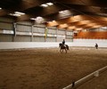News du week-end: Dressage à Evordes
