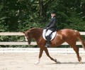 News du week-end: Dressage à Onex