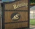 Reining