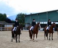 News du week-end: Dressage à Avusy