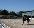News du week-end: Dressage à Avusy