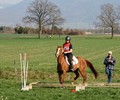 News du week-end: TREC des Murailles