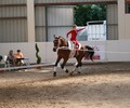 News du weekend: Voltige