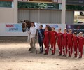 Voltige a Evordes