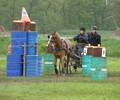 News du weekend: Championnat Romand d'Attelage