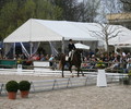 Dressage à la Pallanterie