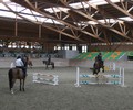 Stage Saut, Attelage et Dressage à Avenches 1 et 2 Mars 2014