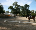 Dressage et Saut à Onex