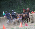 News du weekend: Championnat Romands d'Attelage