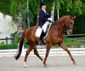 News: Incroyable fin de saison pour le dressage Genevois