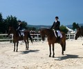 News du week-end: Dressage à Avusy