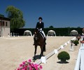 News du weekend: Dressage à Avusy