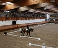 News du week-end: Dressage à Evordes