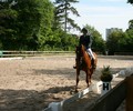 News du week-end: Dressage à Onex