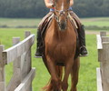 News: Trec de Murailles