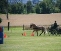 News du weekend: Attelage à Satigny