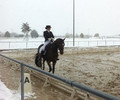 Intercantonal de Dressage
