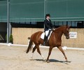 News du weekend: Dressage à Avusy