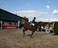 Concours de Saut à Avusy