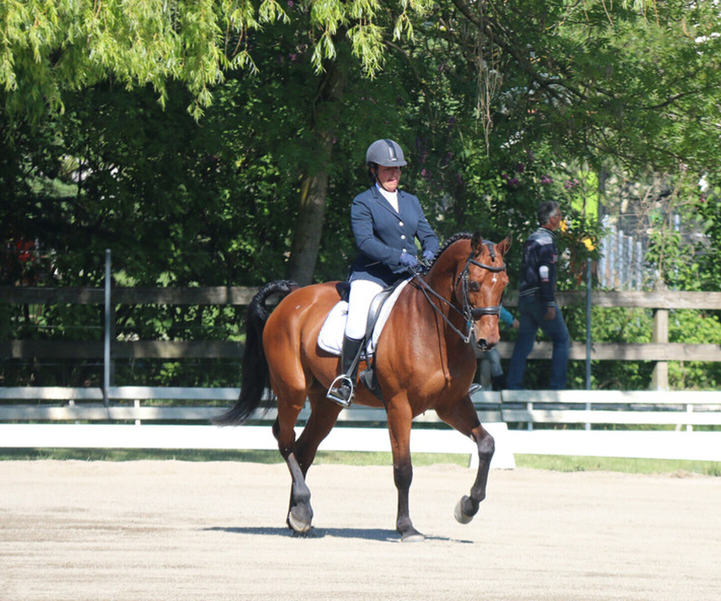 Dressage à Onex
