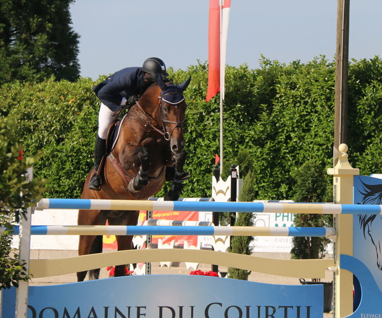 Description de l'image