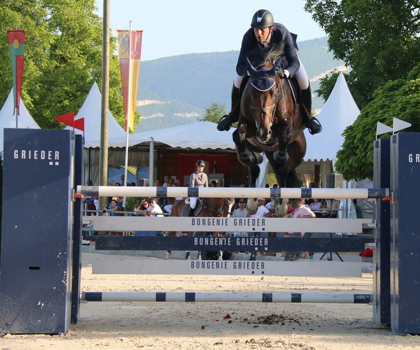 Description de l'image