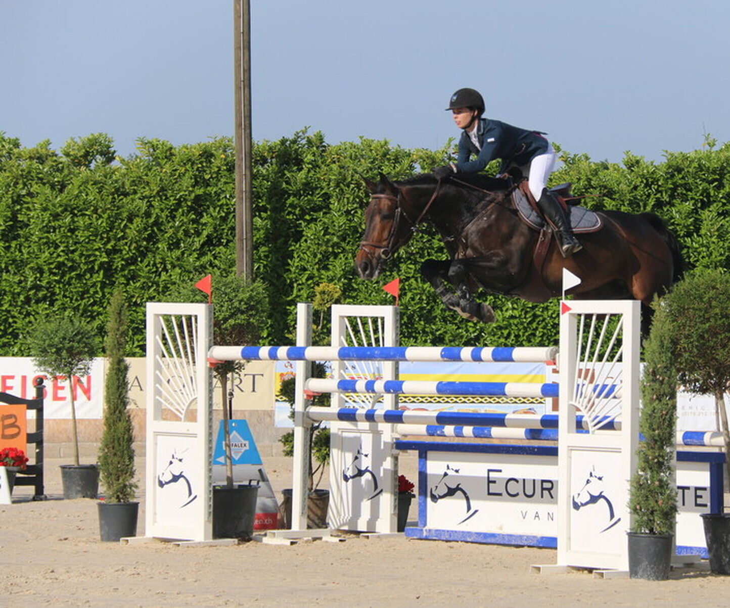 Description de l'image