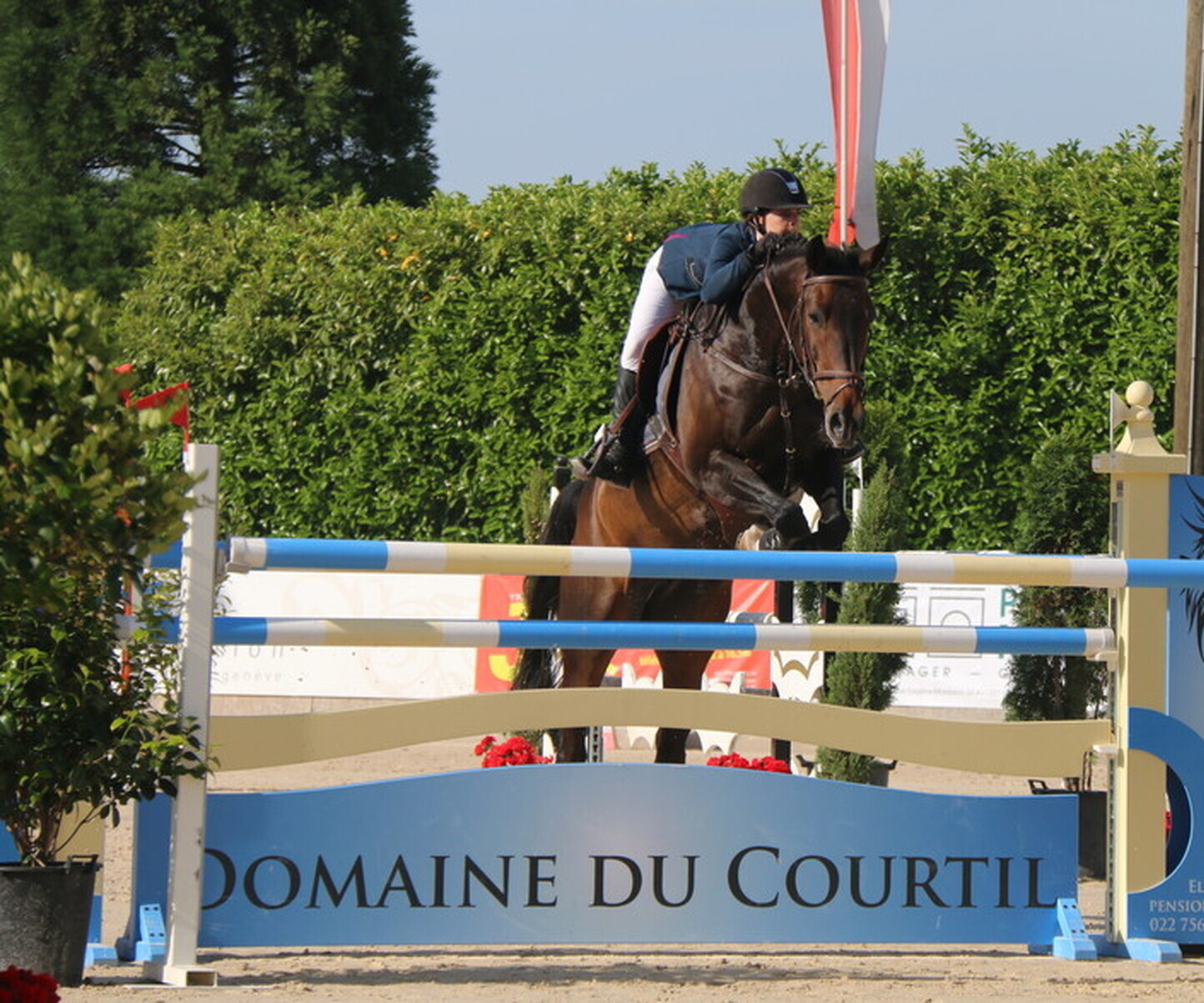 Description de l'image