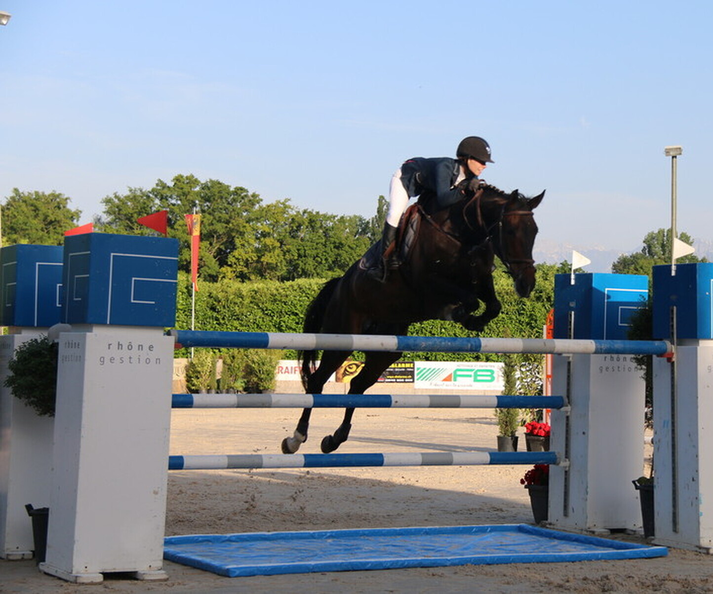 Description de l'image