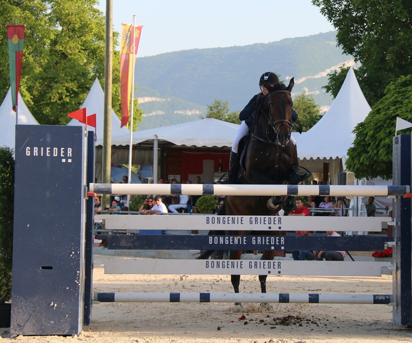 Description de l'image