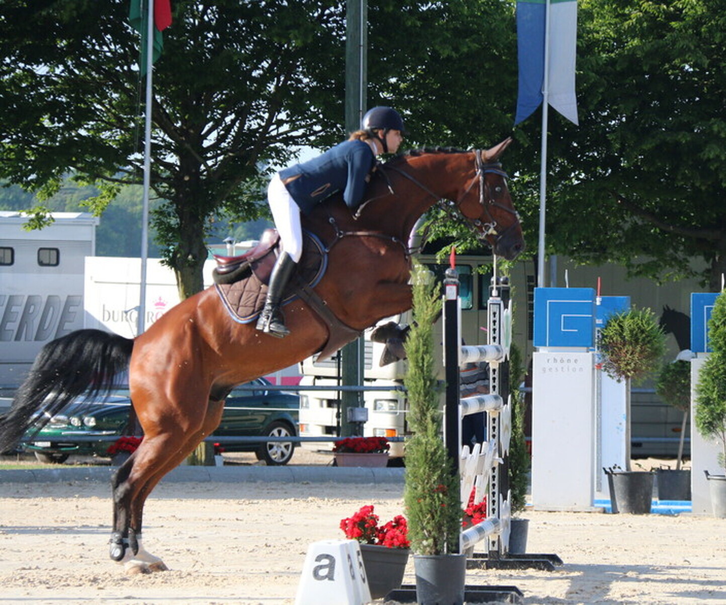 Description de l'image