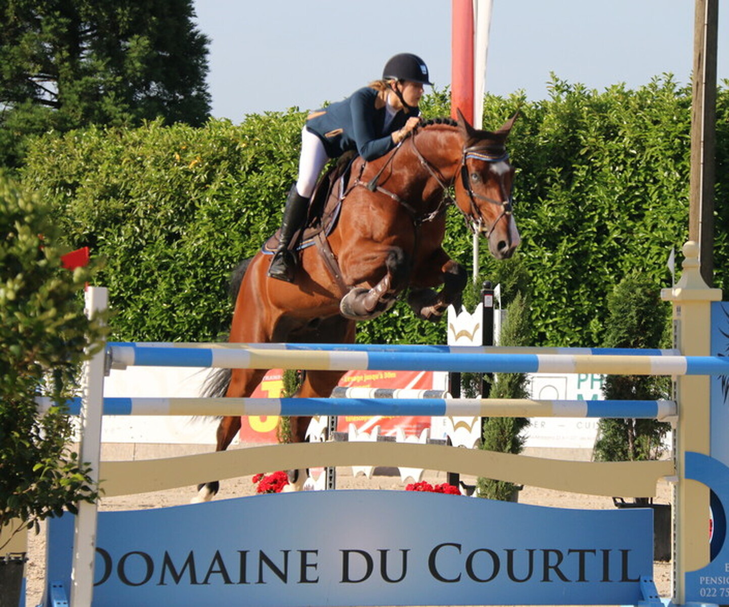 Description de l'image