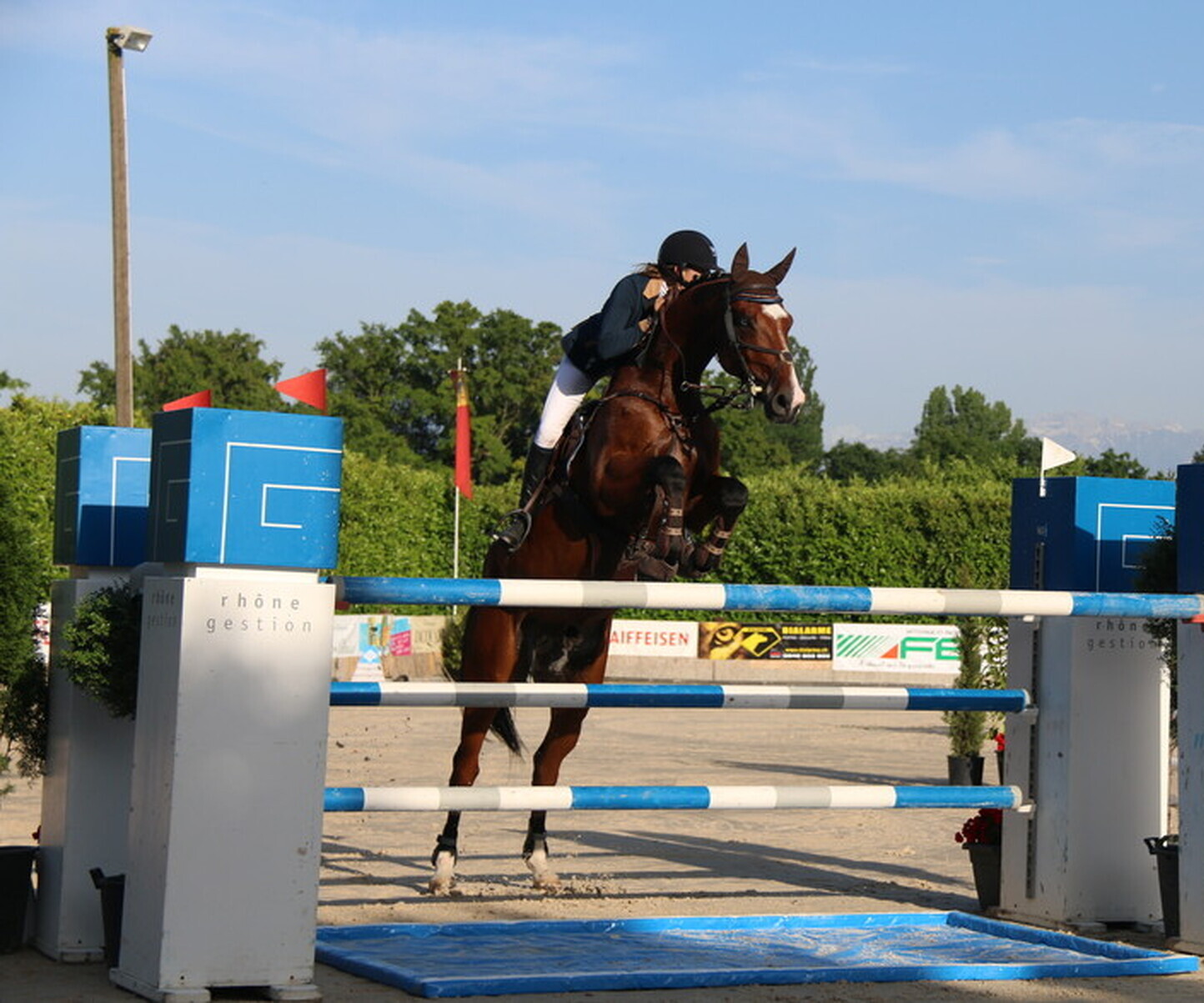 Description de l'image