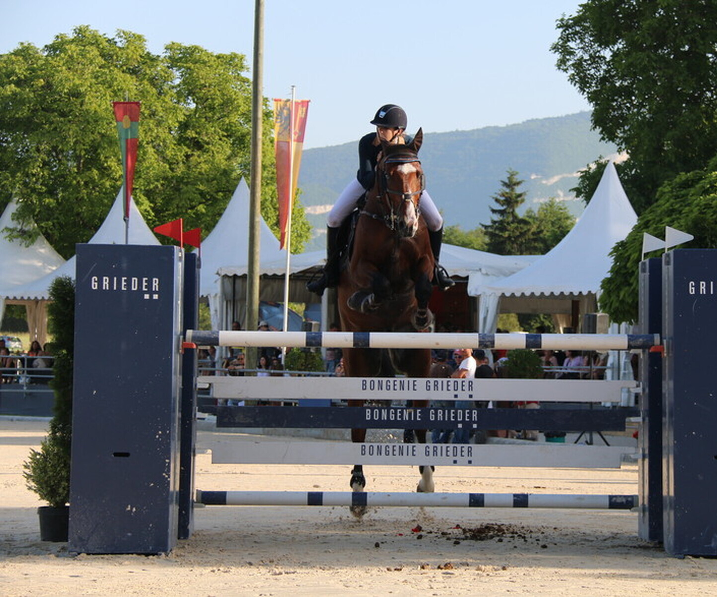 Description de l'image