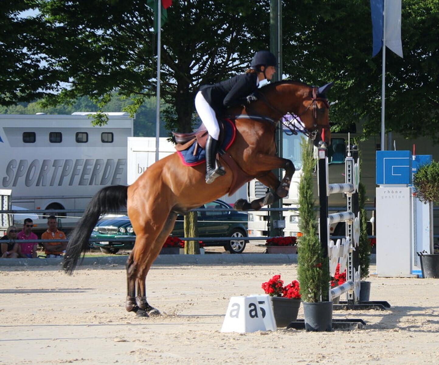 Description de l'image