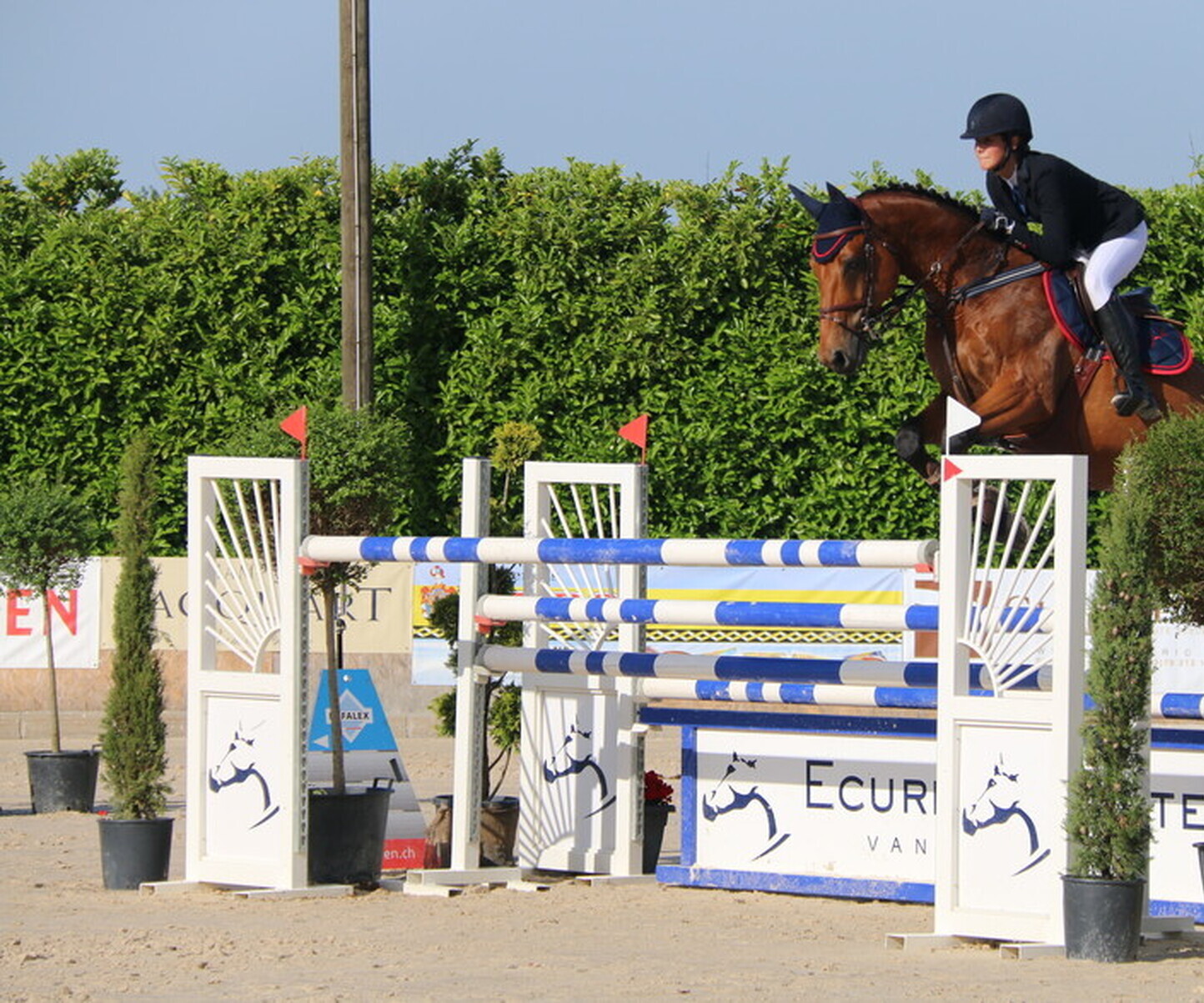 Description de l'image