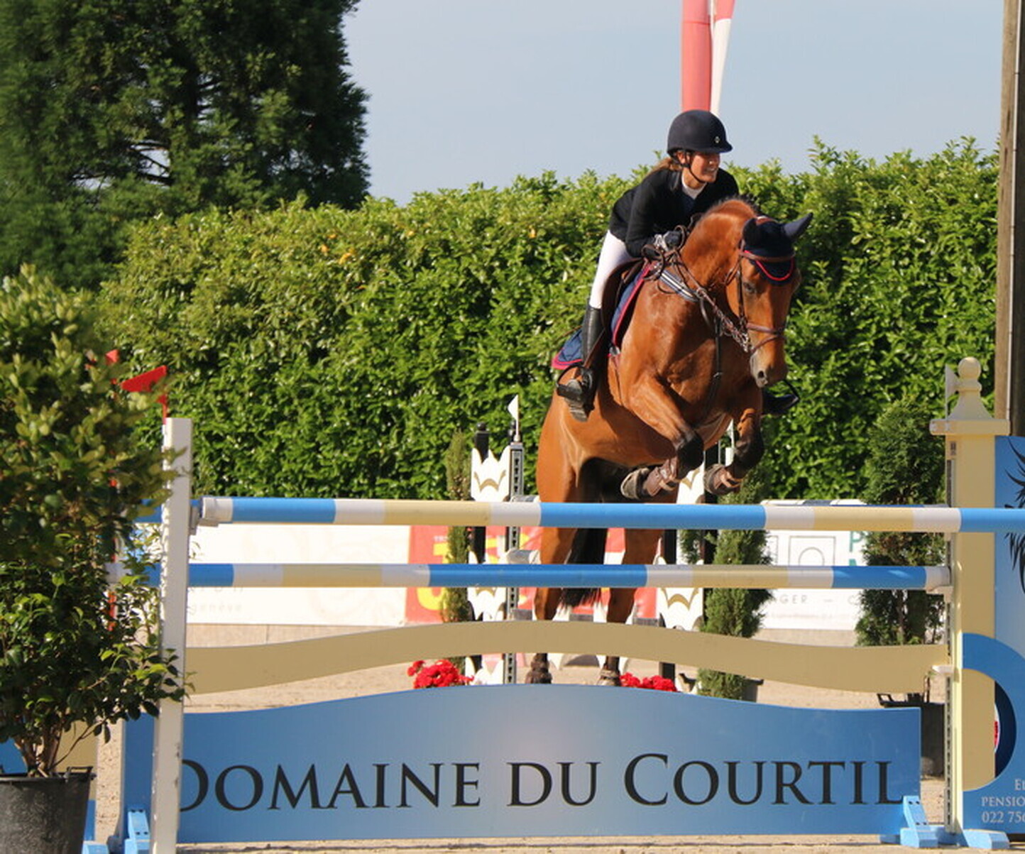 Description de l'image