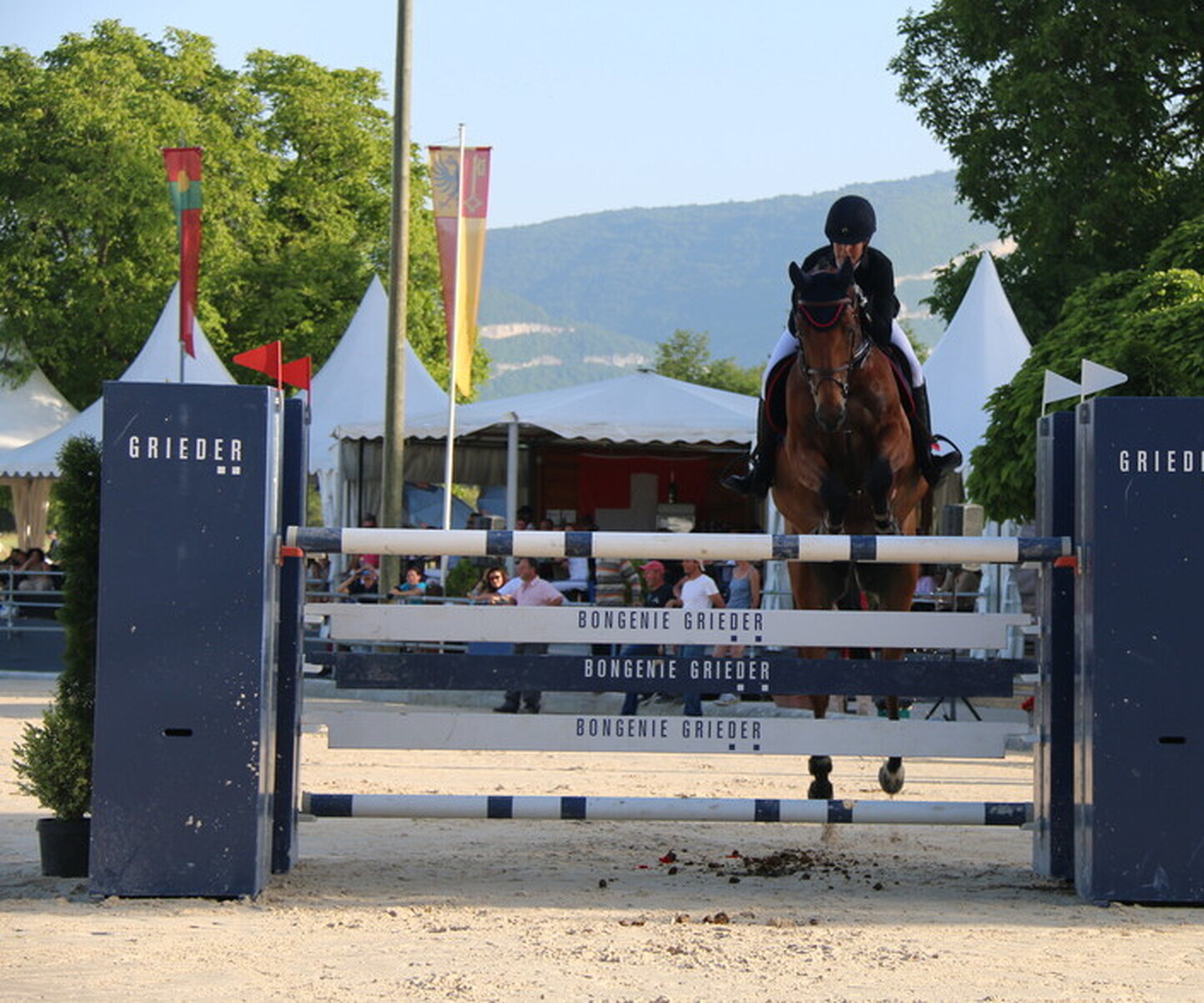 Description de l'image